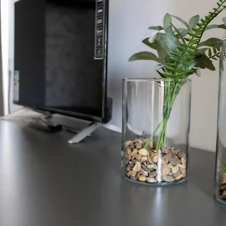 Experience Apartment