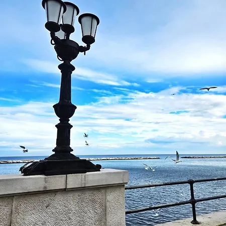 Experience * Bari